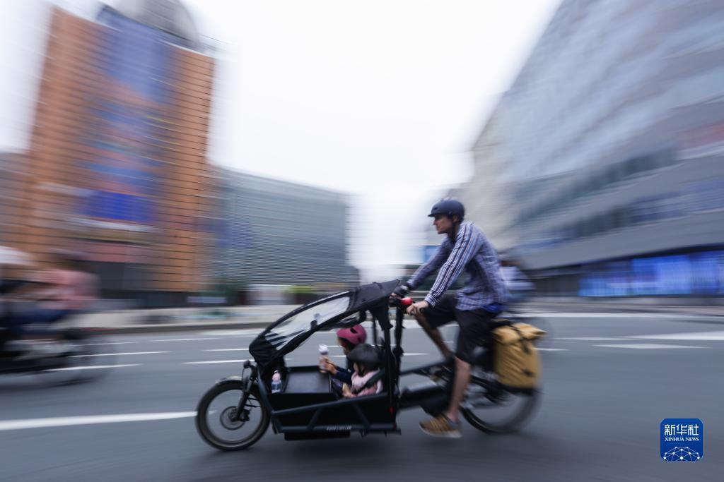 百家龙宝